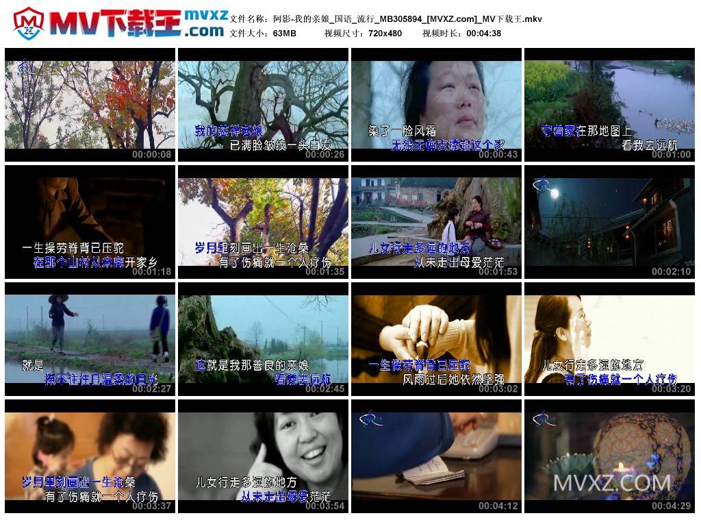 阿影-我的亲娘_国语_流行_MB305894